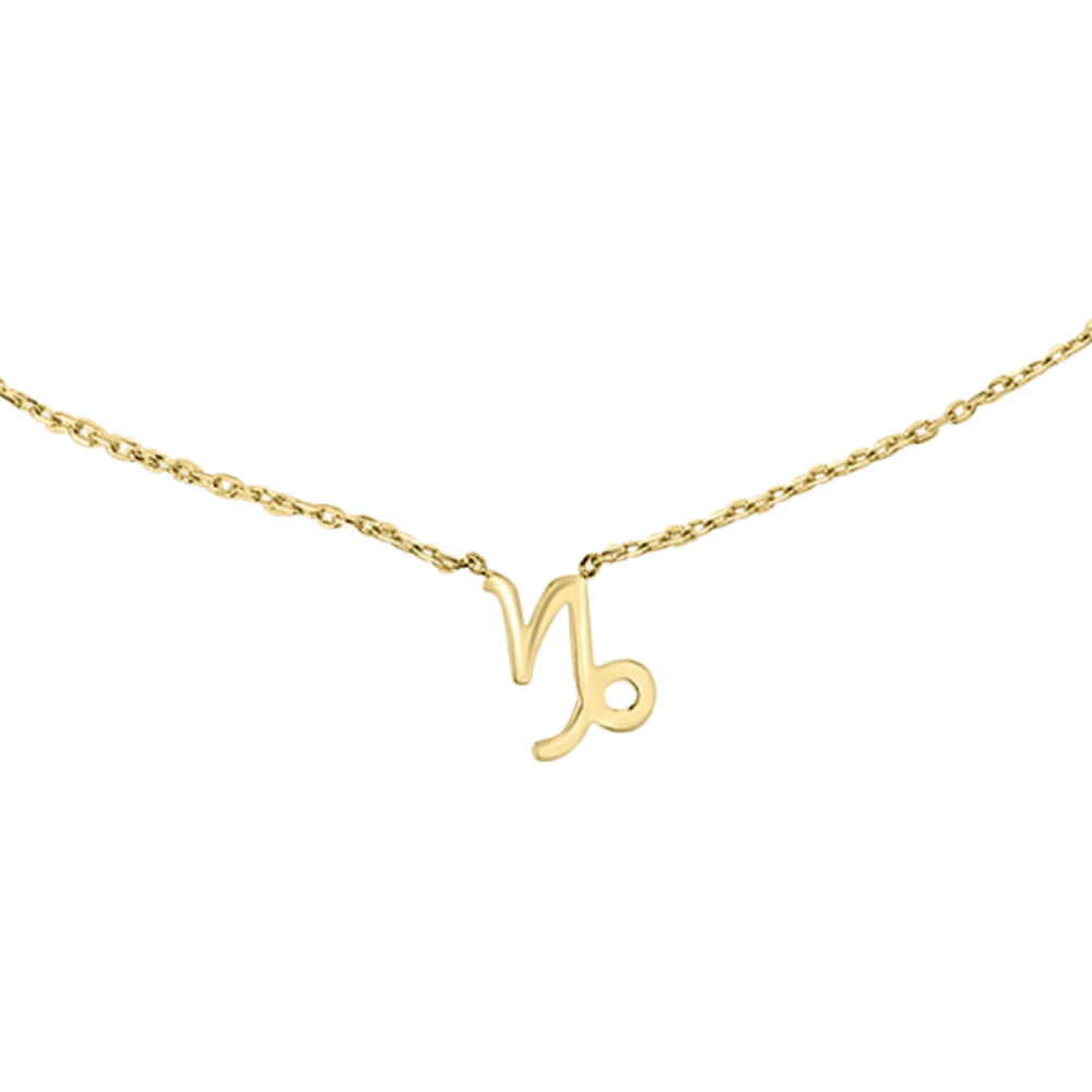 CAPRICORN ZODIAC NECKLACE | 9K SOLID GOLD