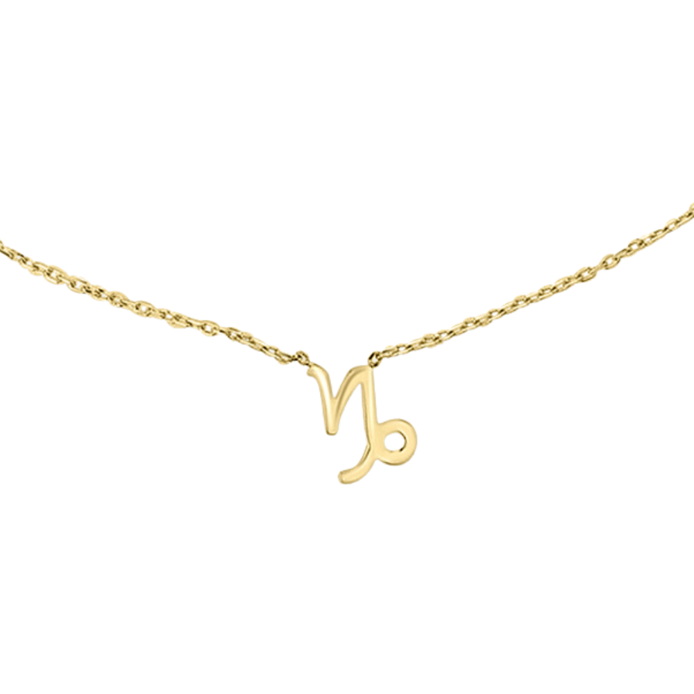 ZODIAC NECKLACE | 9K SOLID GOLD