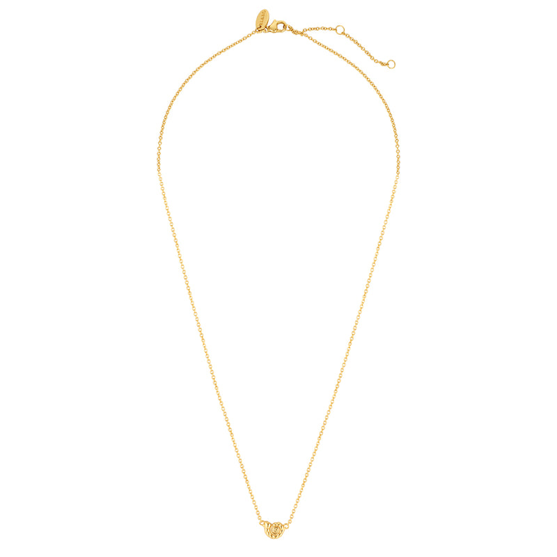 CONCH SHELL NECKLACE | GOLD