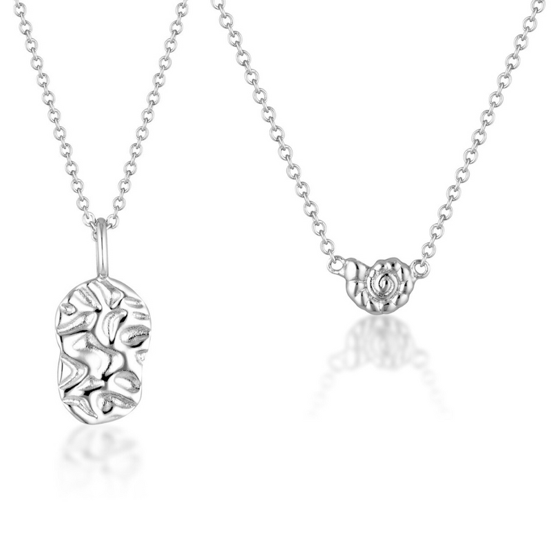 TARNI & CONCH SHELL NECKLACE BUNDLE | SILVER