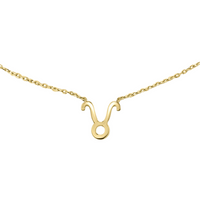 ZODIAC NECKLACE | 9K SOLID GOLD