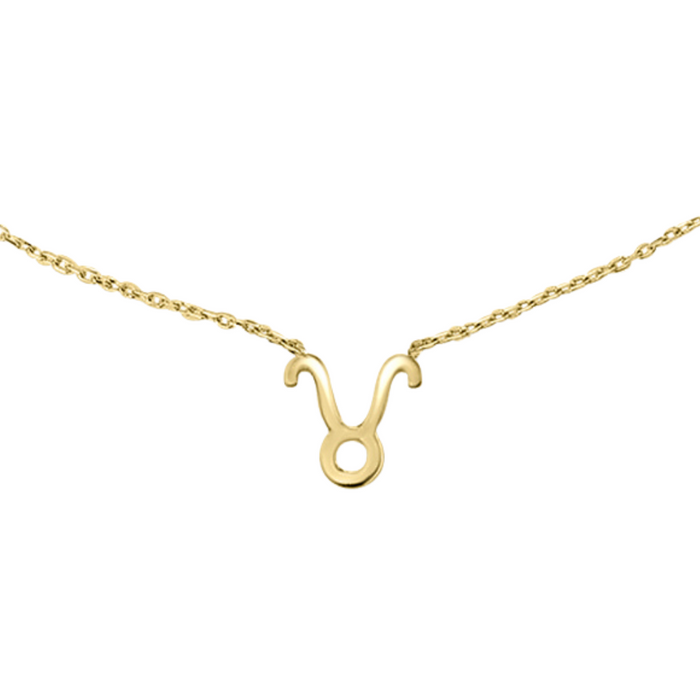ZODIAC NECKLACE | 9K SOLID GOLD