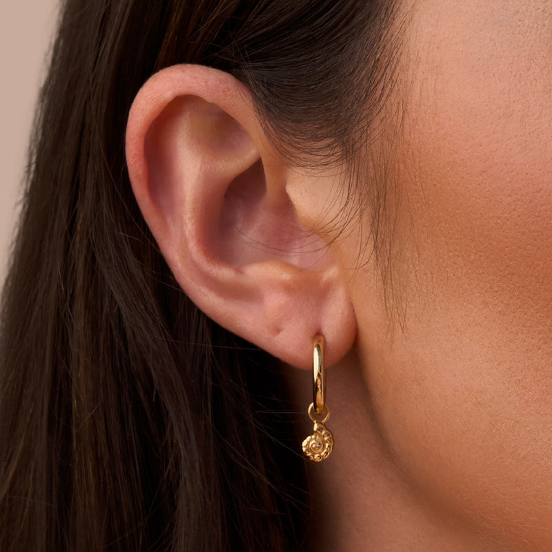 CONCH SHELL HOOPS | GOLD